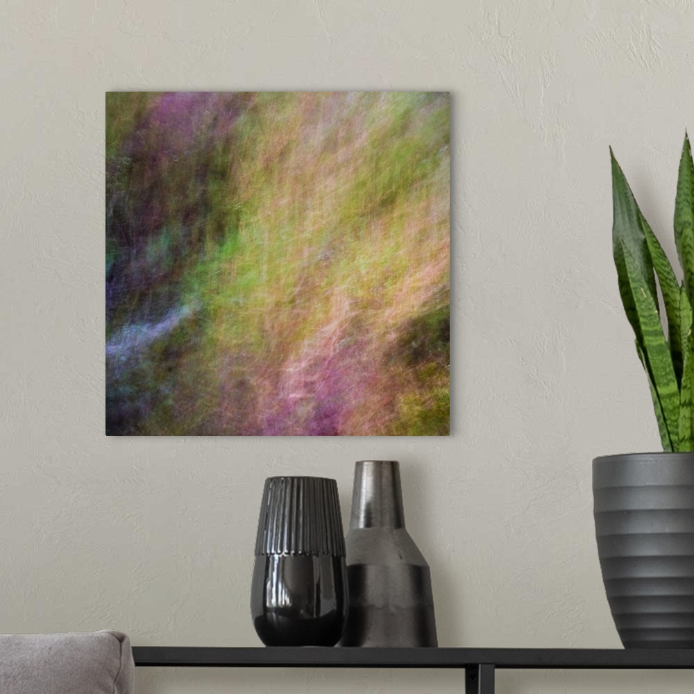 A modern room featuring Abstract blurred photograph of fall plants.
