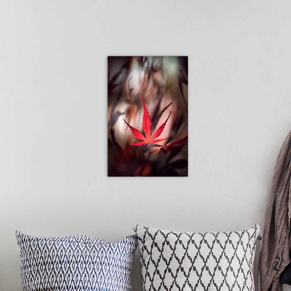 A bohemian room featuring Red maple leaf with a bokeh effect