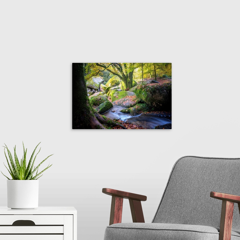 A modern room featuring A river cossing the forest among some trees and huge rocks at fall with blue and yellow colors, b...