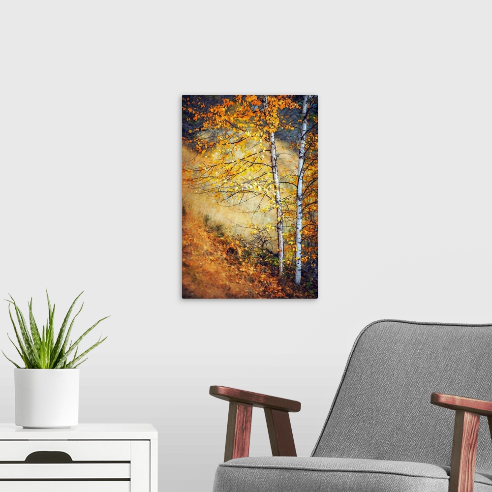 A modern room featuring Two trees with yellow leaves neighbor each other on a sloped hill in this painting.