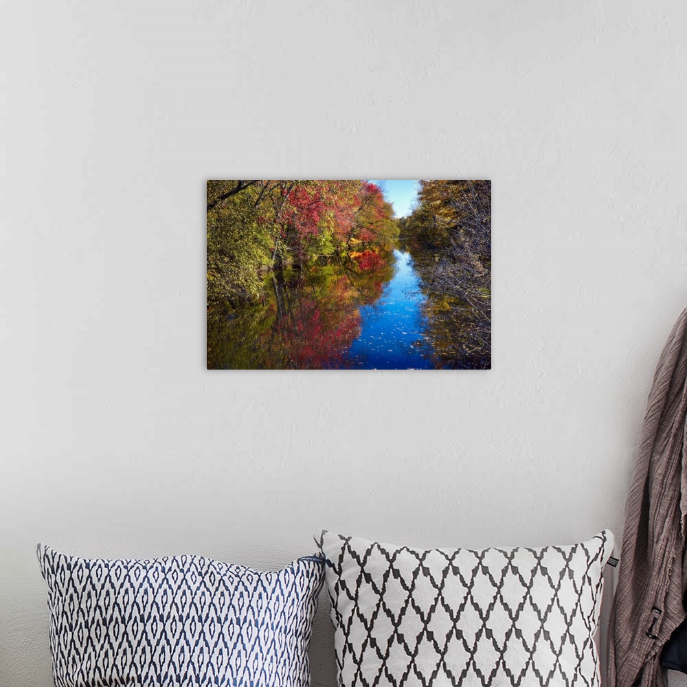 A bohemian room featuring Fallen leaves on the surface of a river lined with trees in autumn.