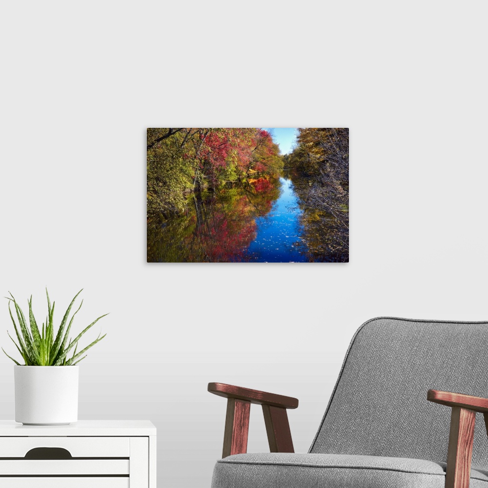 A modern room featuring Fallen leaves on the surface of a river lined with trees in autumn.