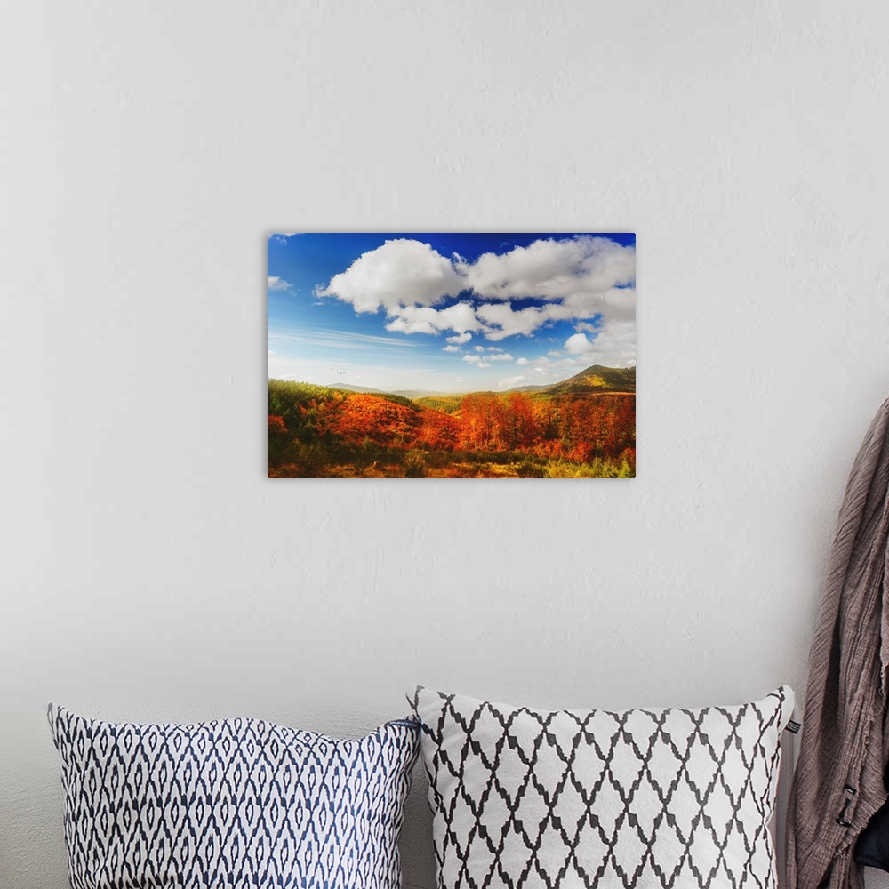 A bohemian room featuring Colorful trees in autumn with beautiful blue sky and clouds