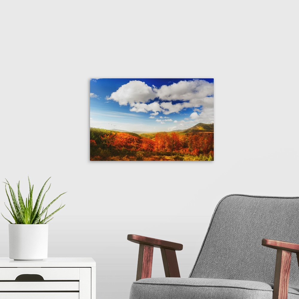 A modern room featuring Colorful trees in autumn with beautiful blue sky and clouds