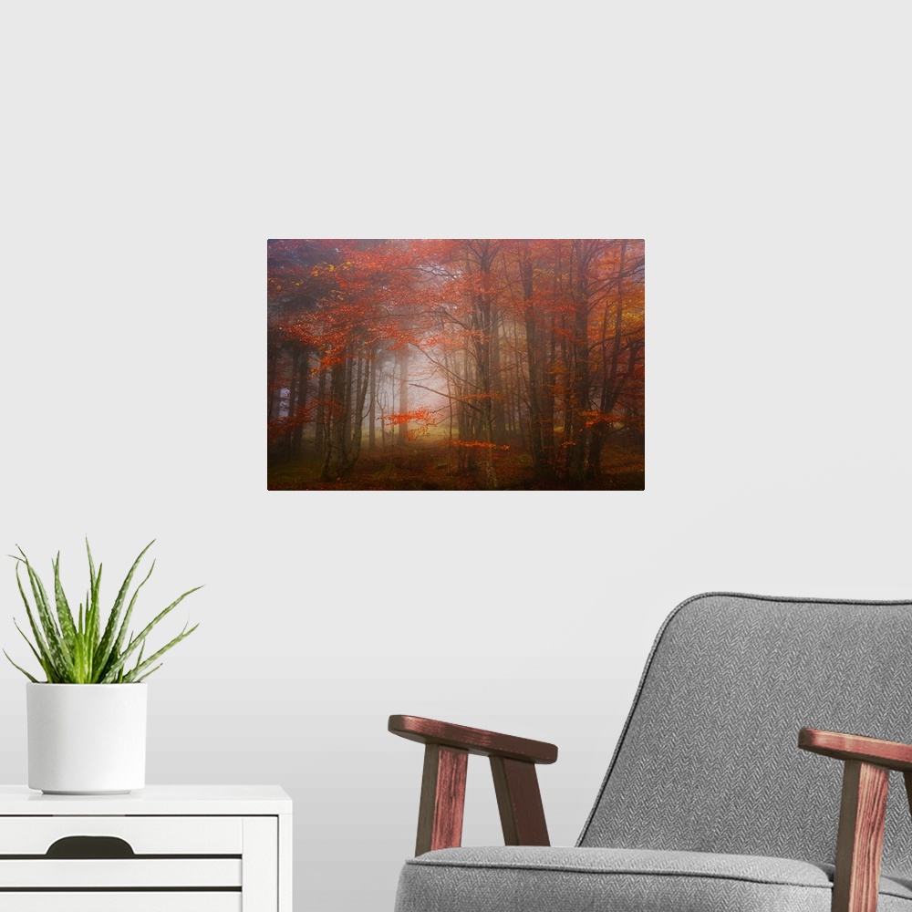 A modern room featuring View through a misty forest with trees full of orange leaves.