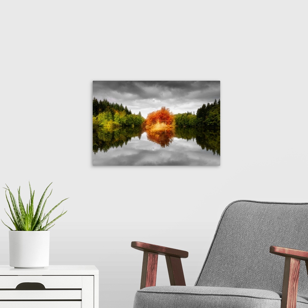 A modern room featuring A group of orange trees at the edge of a lake standing out against the green forest.