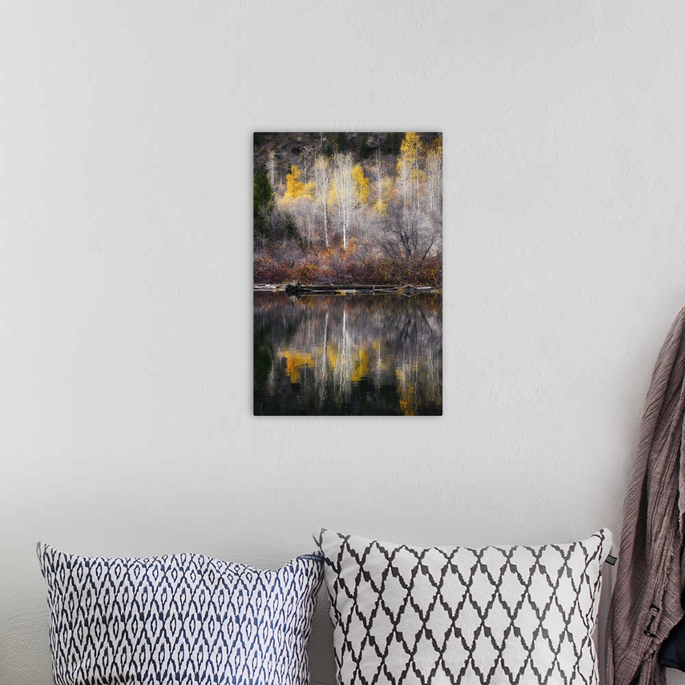 A bohemian room featuring The edge of a forest with yellow-leaved trees mirrored in the calm water below.