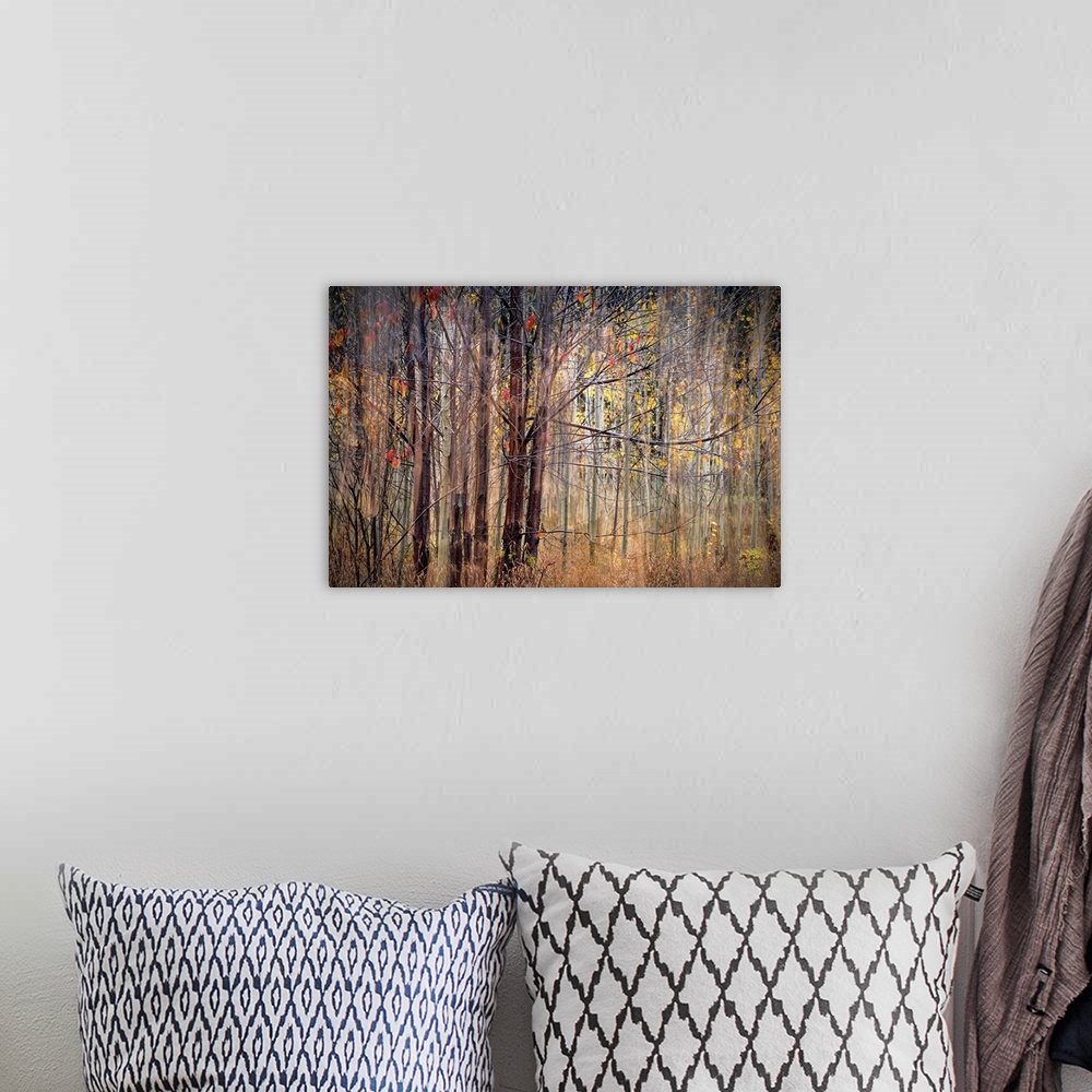 A bohemian room featuring Blurred motion image of trees in fall colors.