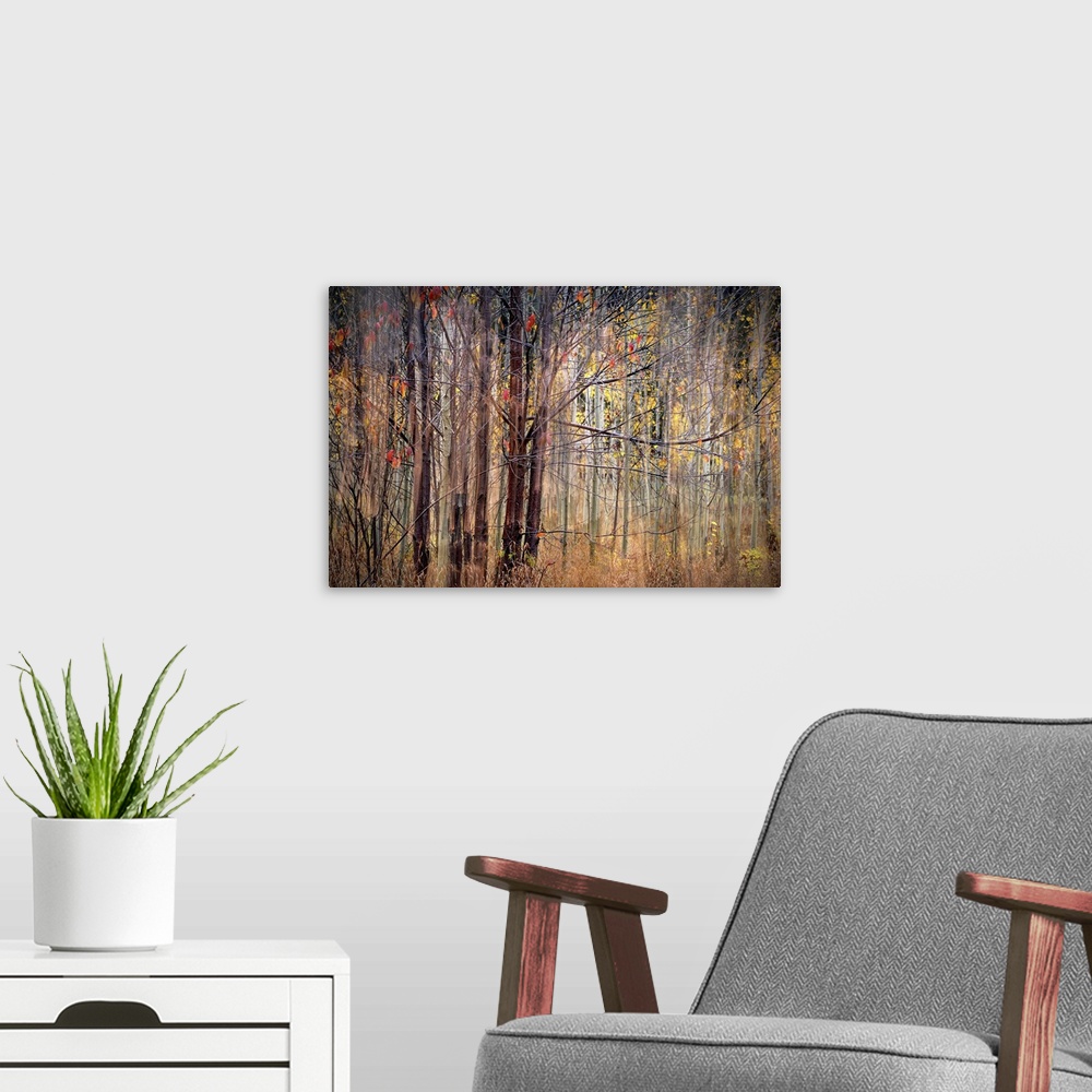 A modern room featuring Blurred motion image of trees in fall colors.