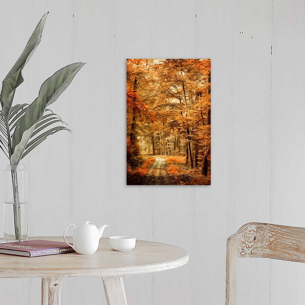 A farmhouse room featuring Photograph of an Autumn landscape with a path through woods with orange leaves and a shallow dept...