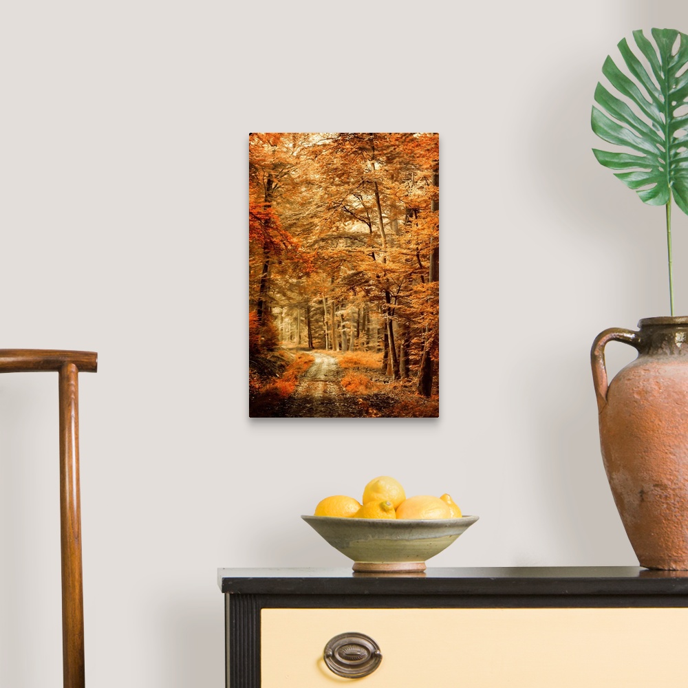 A traditional room featuring Photograph of an Autumn landscape with a path through woods with orange leaves and a shallow dept...