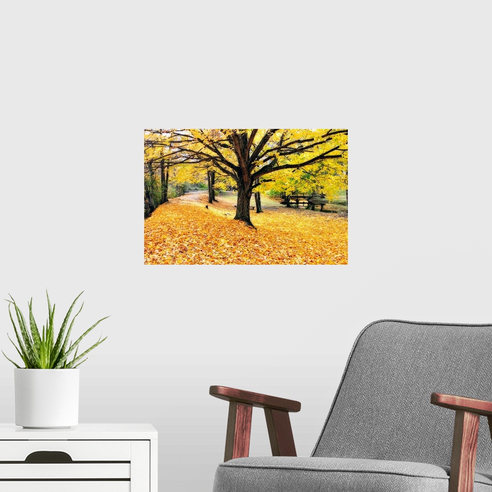 A modern room featuring Artistic photograph of a park in New Jersey in the fall, with the ground covered in fallen leaves...