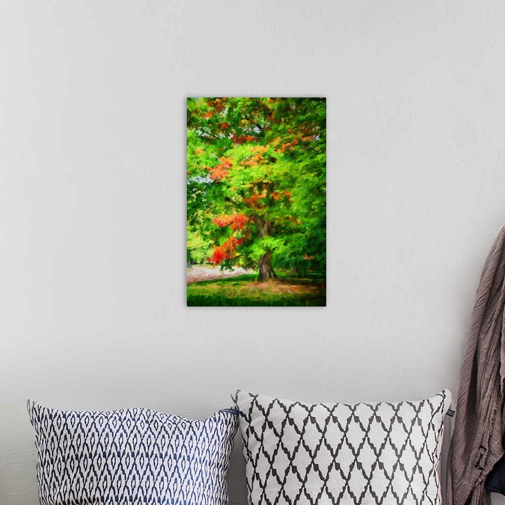 A bohemian room featuring An oak in early fall with a expressionist photo or painterly process