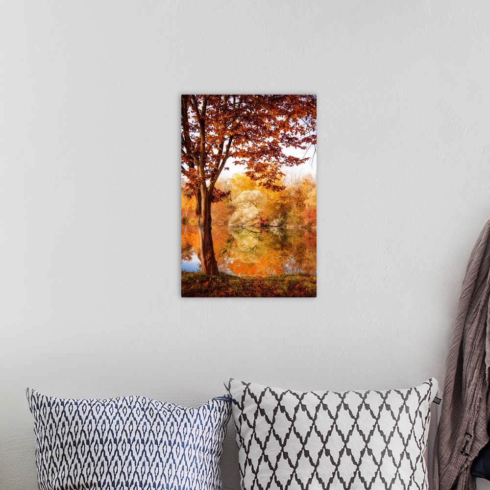 A bohemian room featuring Colorful trees in autumn by a lake