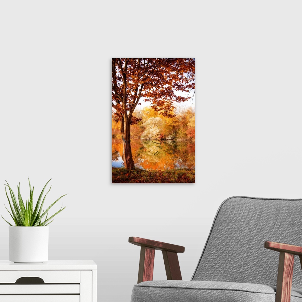 A modern room featuring Colorful trees in autumn by a lake