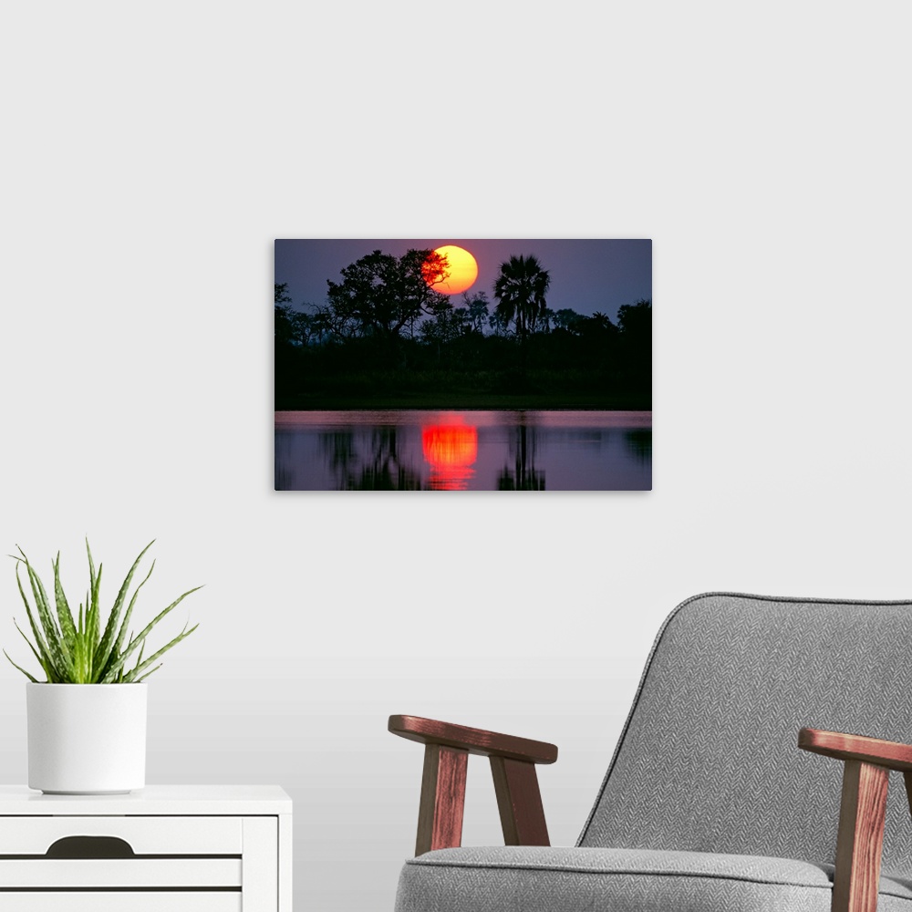 A modern room featuring Large photograph includes the sun setting behind a group of palm and acacia trees, which are in t...