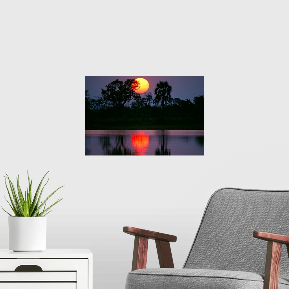 A modern room featuring Large photograph includes the sun setting behind a group of palm and acacia trees, which are in t...