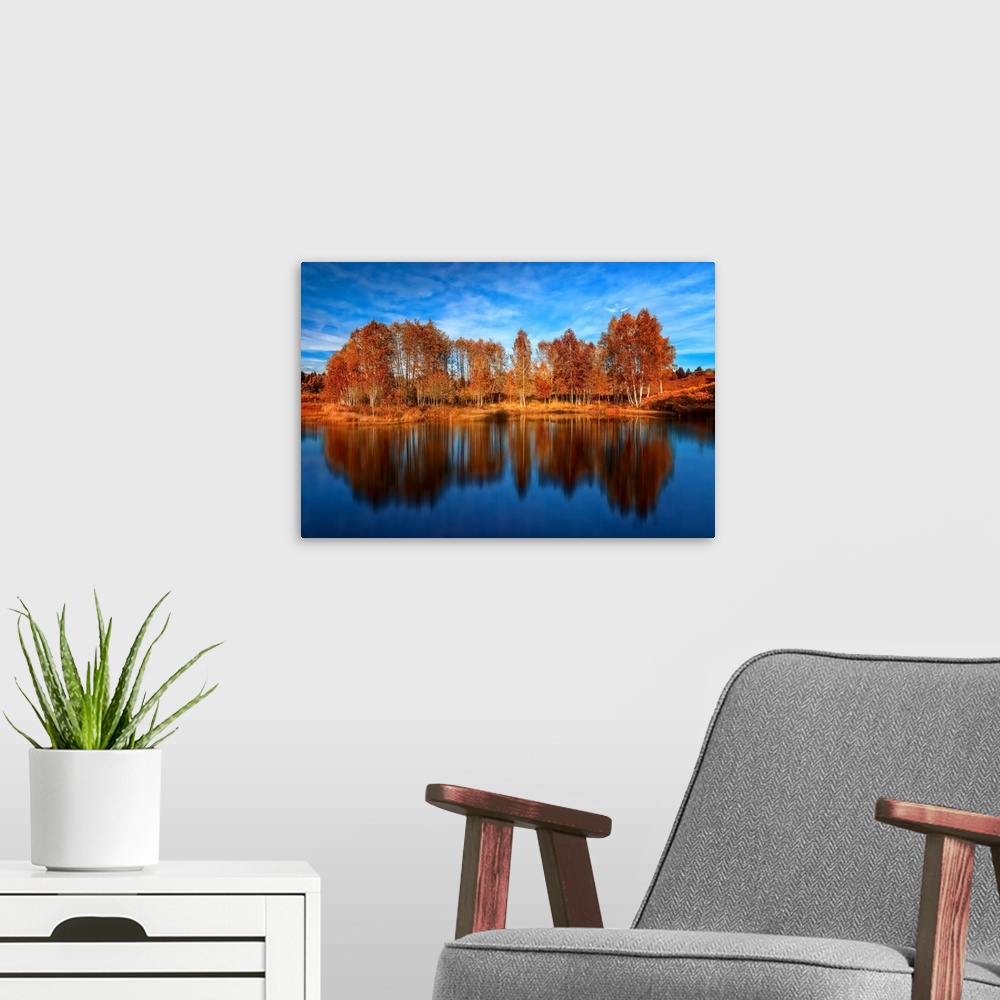 A modern room featuring Bright orange trees reflected in the deep blue water of a lake.
