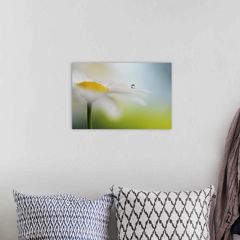 A bohemian room featuring A macro photograph of a water droplet sitting on a white and yellow flower.
