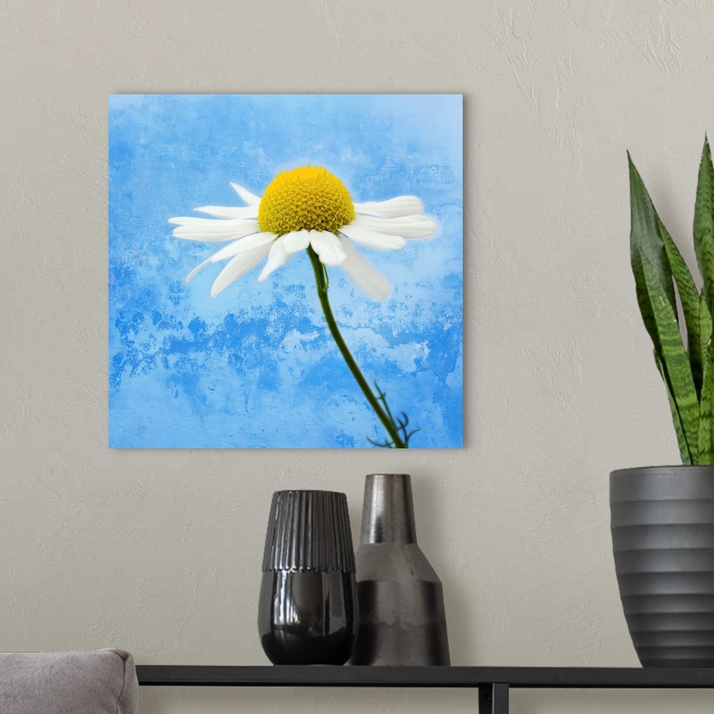 A modern room featuring Up-close photograph of daisy with abstract background.