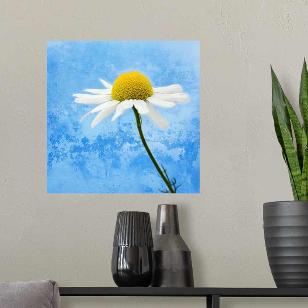 A modern room featuring Up-close photograph of daisy with abstract background.