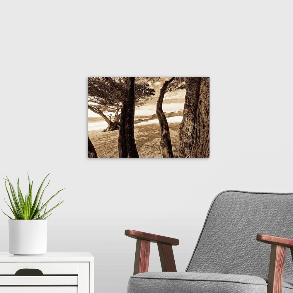A modern room featuring Sepia tone image of the beach and ocean through the tree trunks.