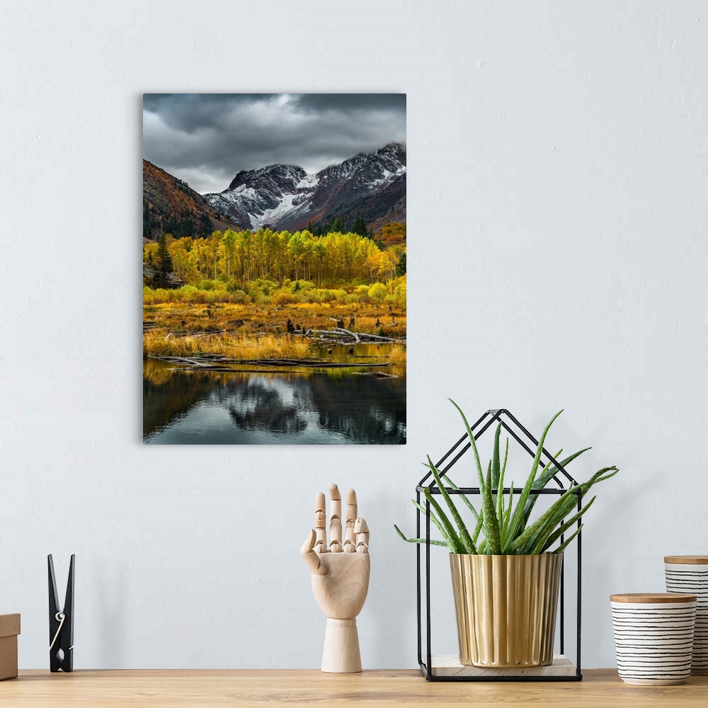 A bohemian room featuring Yellow trees in the fall in a valley between a lake and snowy mountains.