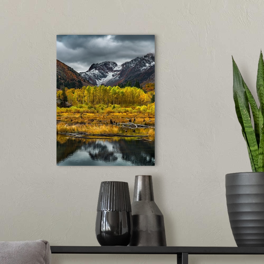 A modern room featuring Yellow trees in the fall in a valley between a lake and snowy mountains.