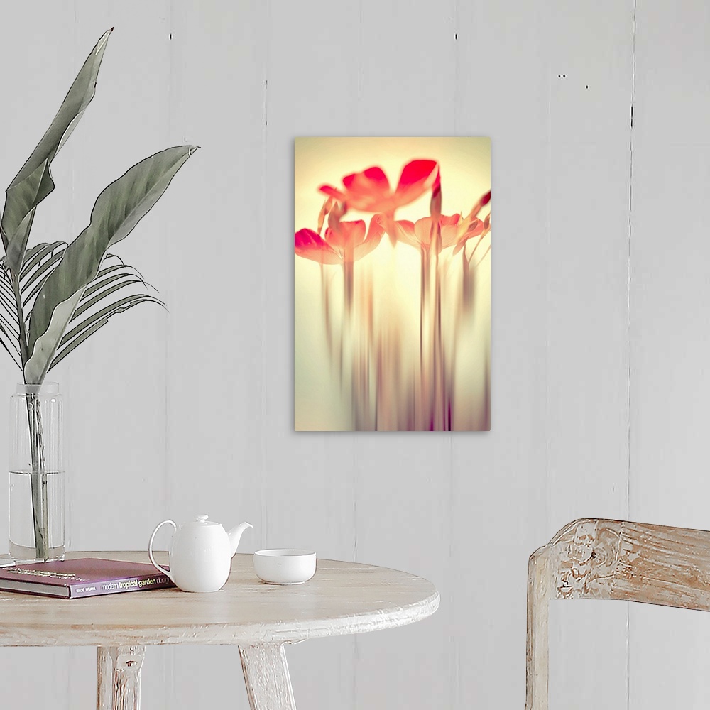 A farmhouse room featuring Fine Art photography of floral heads on a bright sun-like background with their stems blurry on t...