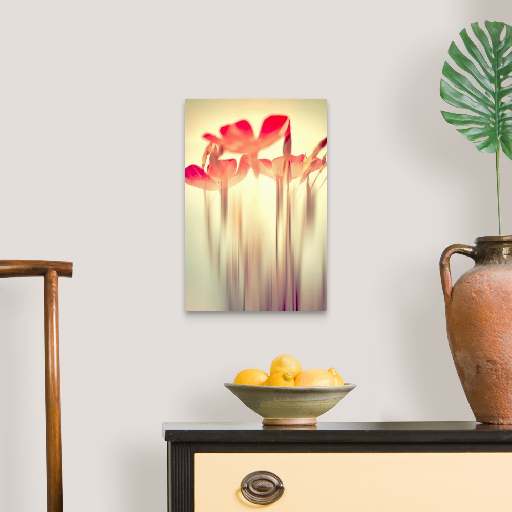 A traditional room featuring Fine Art photography of floral heads on a bright sun-like background with their stems blurry on t...