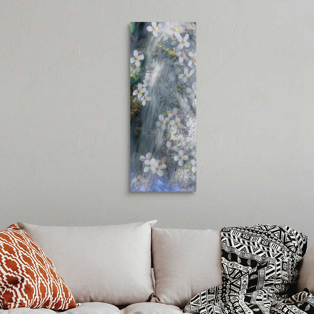 A bohemian room featuring Panel sized photograph with a dreamy look of flowers floating down a river.