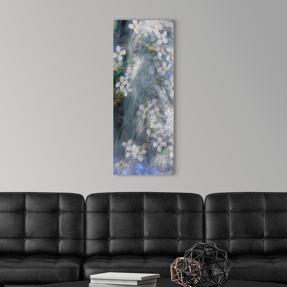 A modern room featuring Panel sized photograph with a dreamy look of flowers floating down a river.