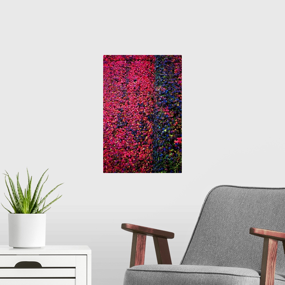 A modern room featuring A wall filled with deep red and purple flowers.