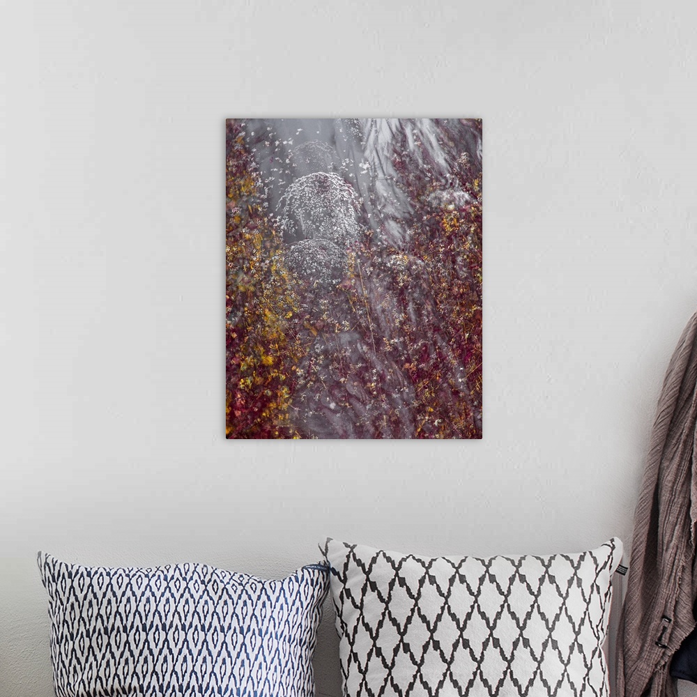 A bohemian room featuring An impressionistix image of seedheads and flowers in golds and deep crimson with siilvery swirls.