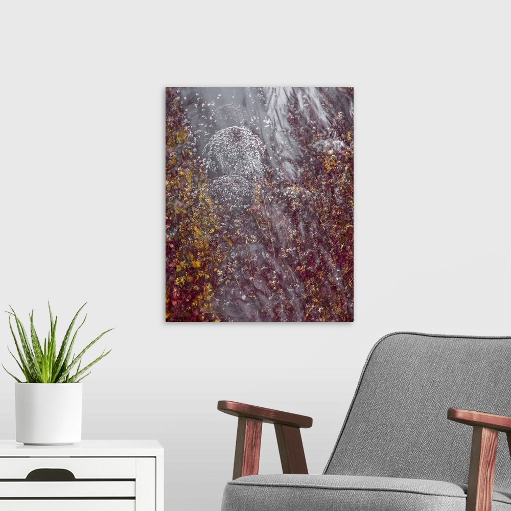 A modern room featuring An impressionistix image of seedheads and flowers in golds and deep crimson with siilvery swirls.