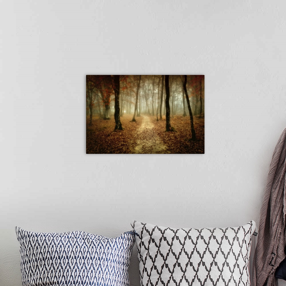 A bohemian room featuring Slightly blurred photograph of dirt path in the forest that covered with fallen leaves.