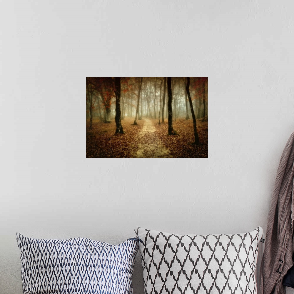 A bohemian room featuring Slightly blurred photograph of dirt path in the forest that covered with fallen leaves.