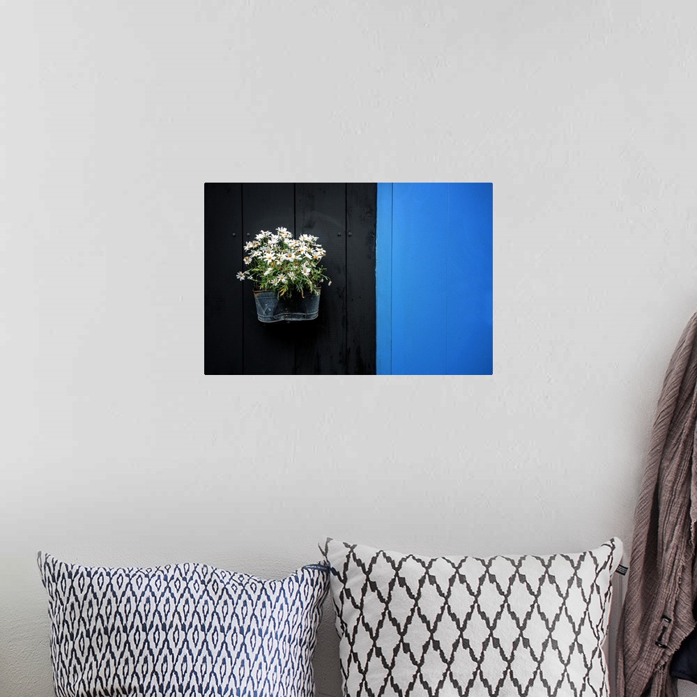 A bohemian room featuring A planter on the side of a black and blue wall holding several white flowers.