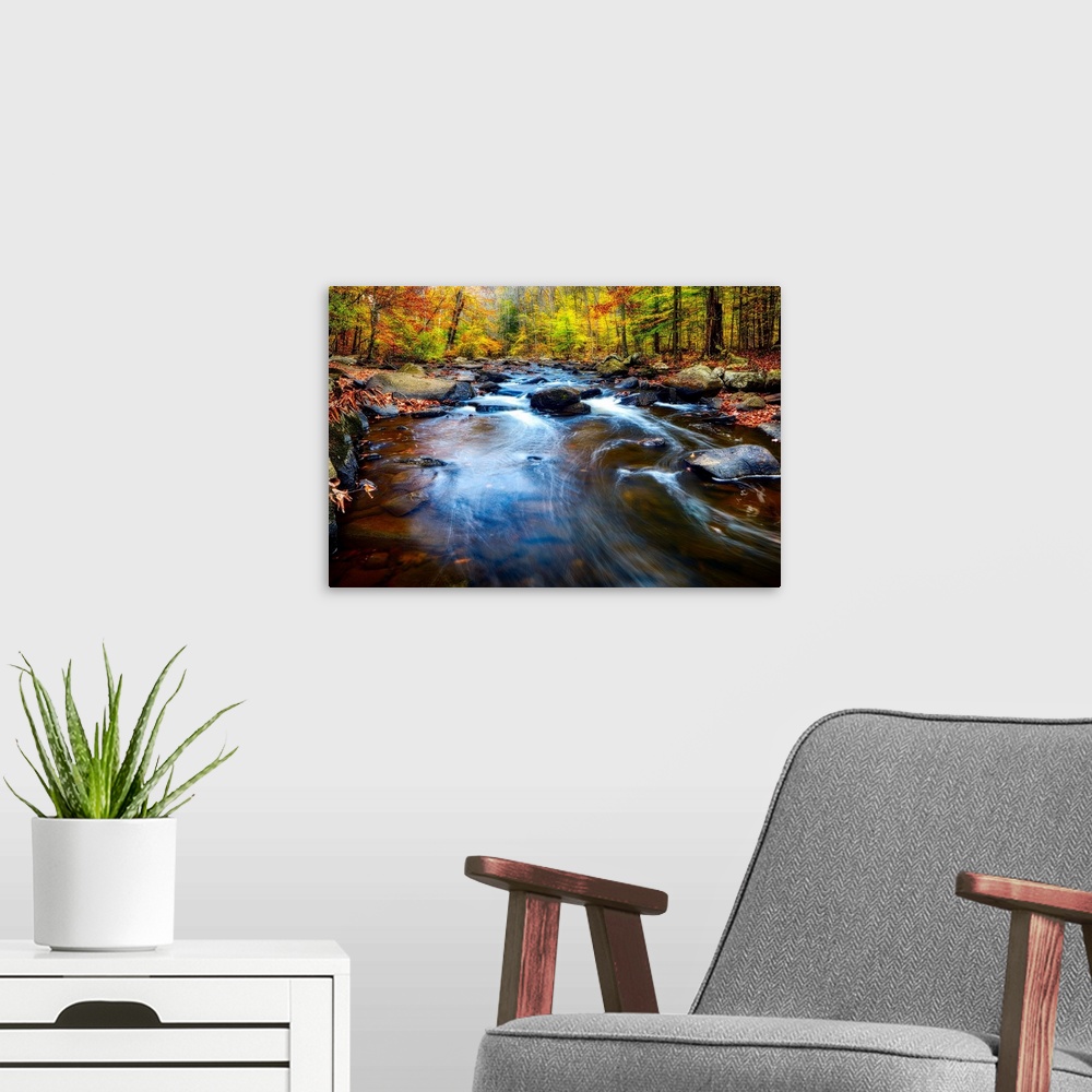 A modern room featuring Rushing water in a river in a forest in autumn, New Jersey.