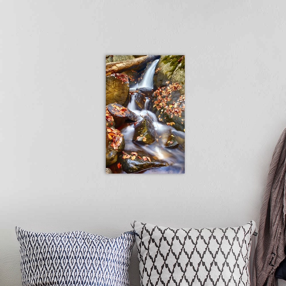 A bohemian room featuring Water cascading over rocks covered in fallen autumn leaves.