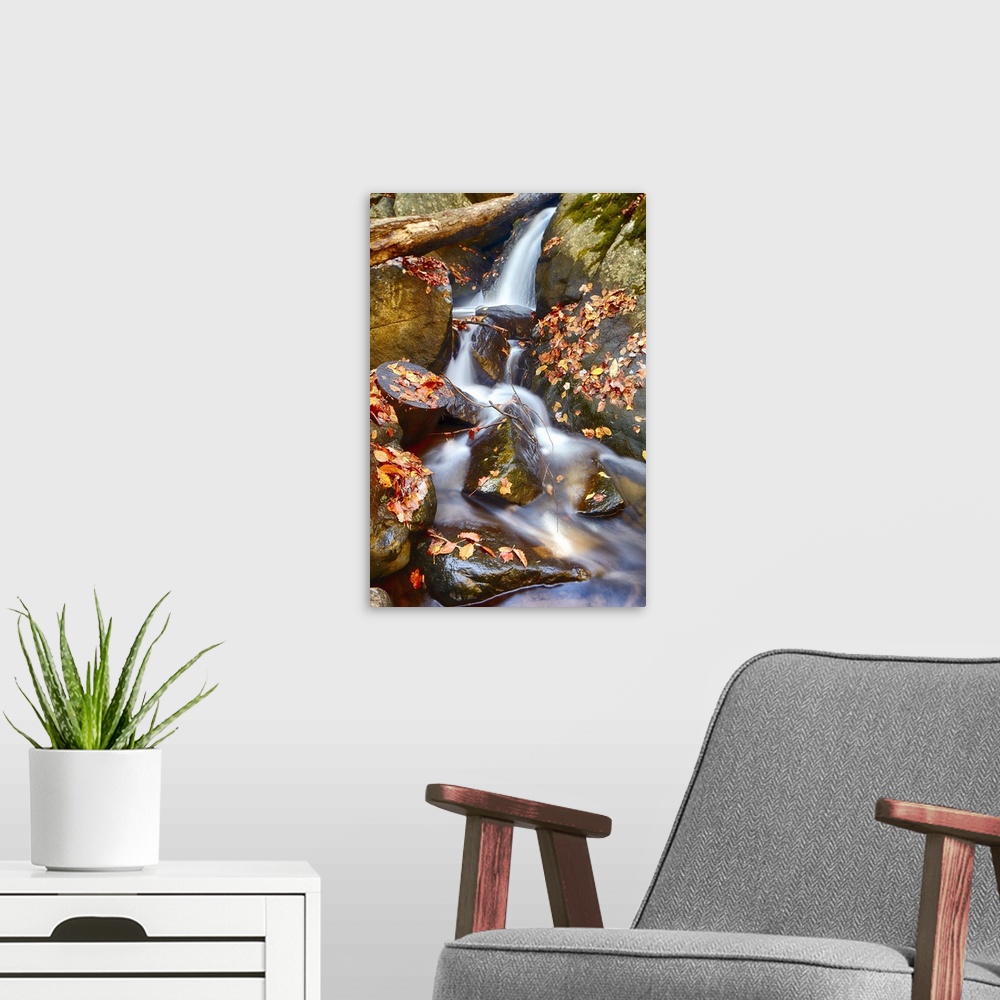 A modern room featuring Water cascading over rocks covered in fallen autumn leaves.