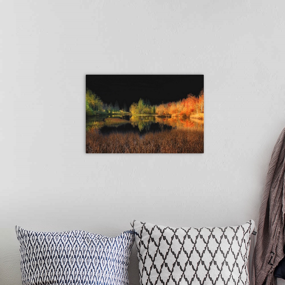 A bohemian room featuring Autumn trees lining a lake and reflecting into the water, with a dark black sky.