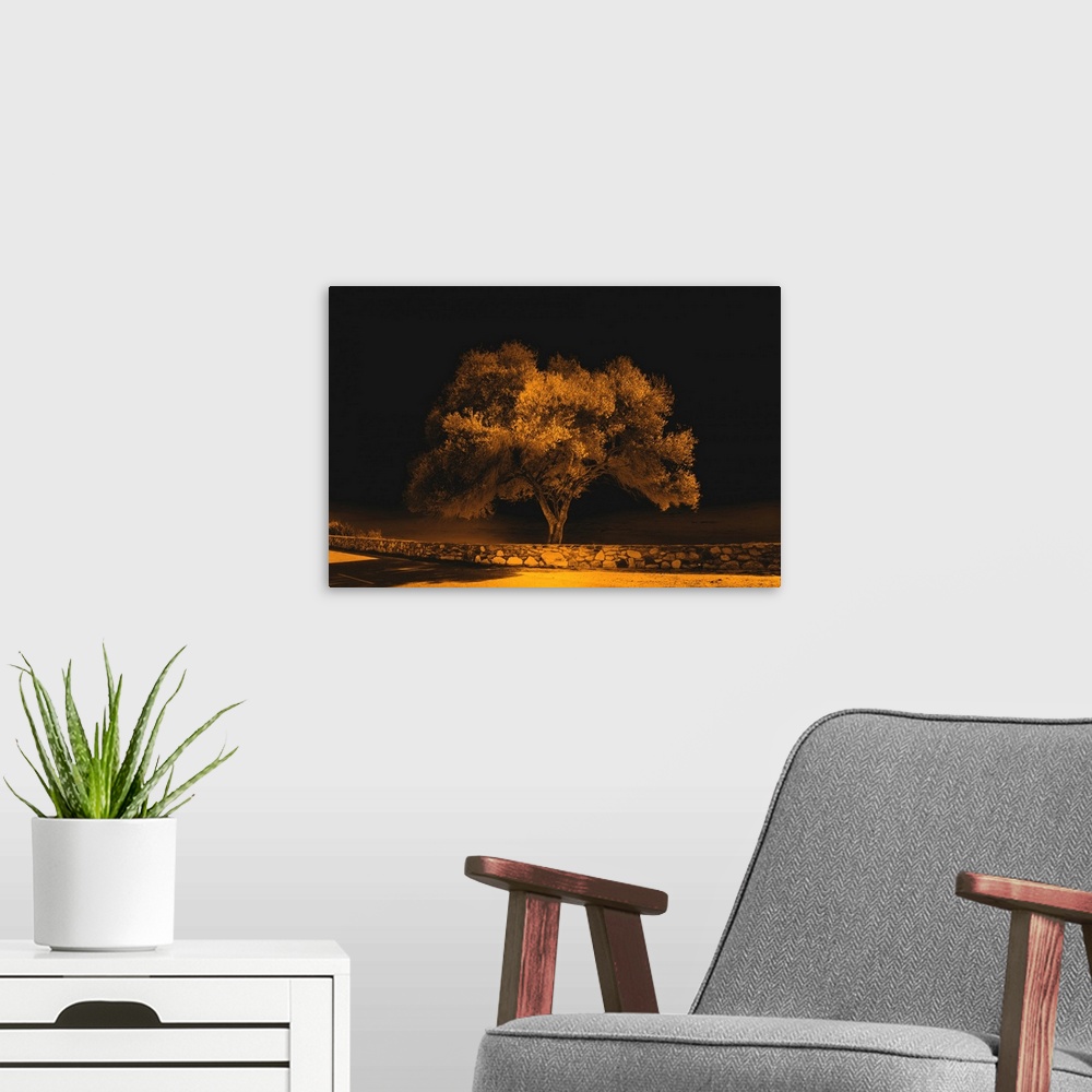 A modern room featuring Inferred photograph of a single tree behind a stone wall and street in orange and black tones.