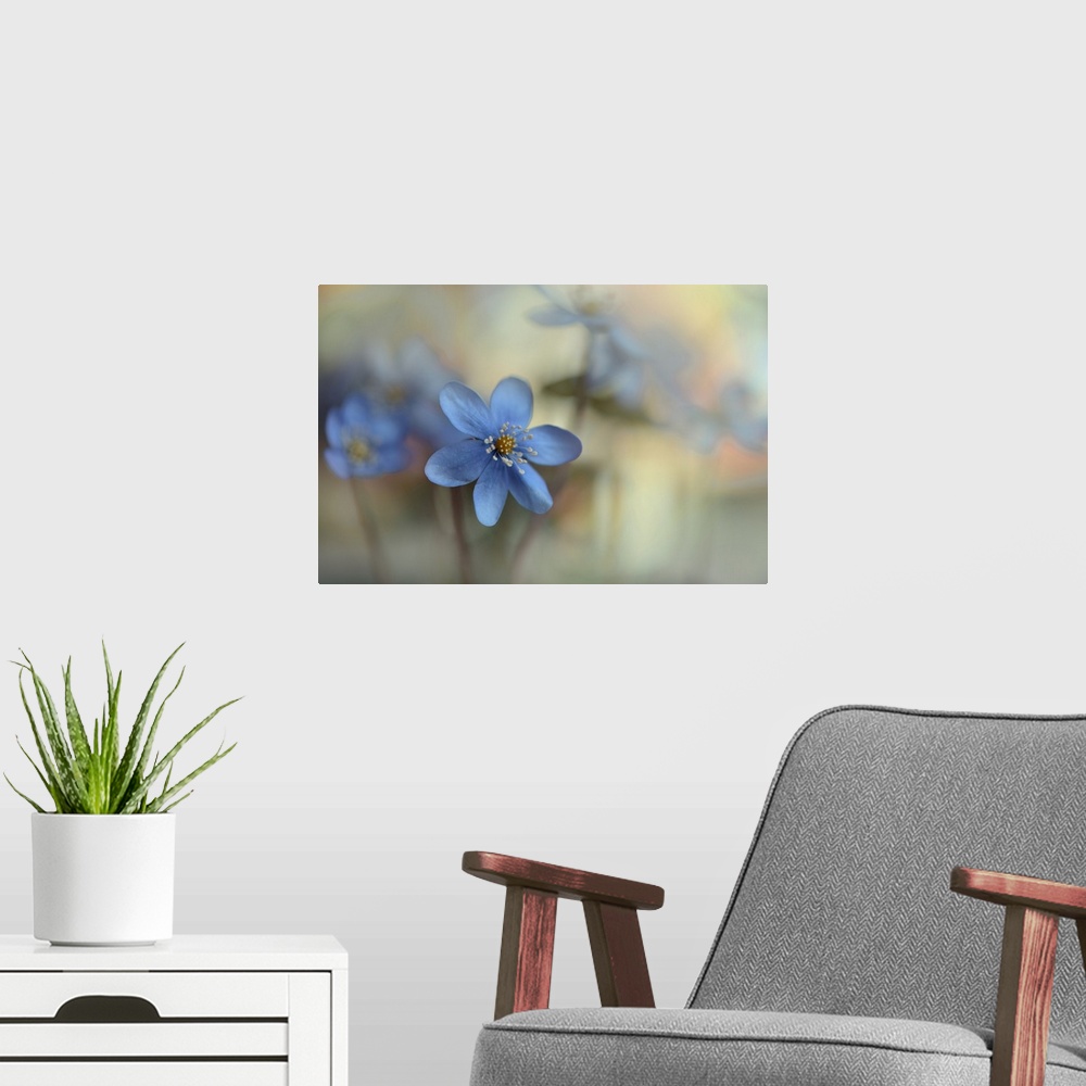 A modern room featuring Blooming II