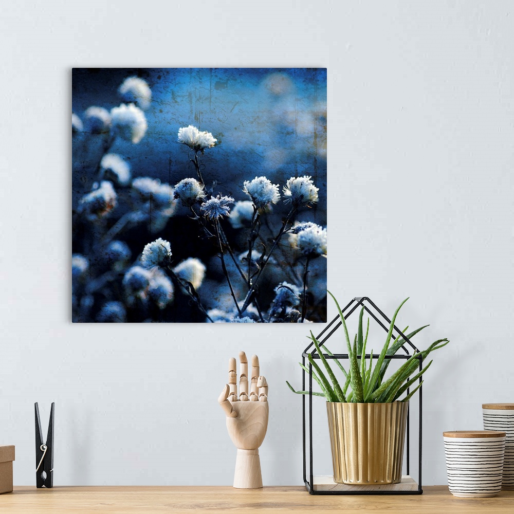 A bohemian room featuring A fine art photograph of flower blossoms that have been given a cool hued tint and a distress tex...