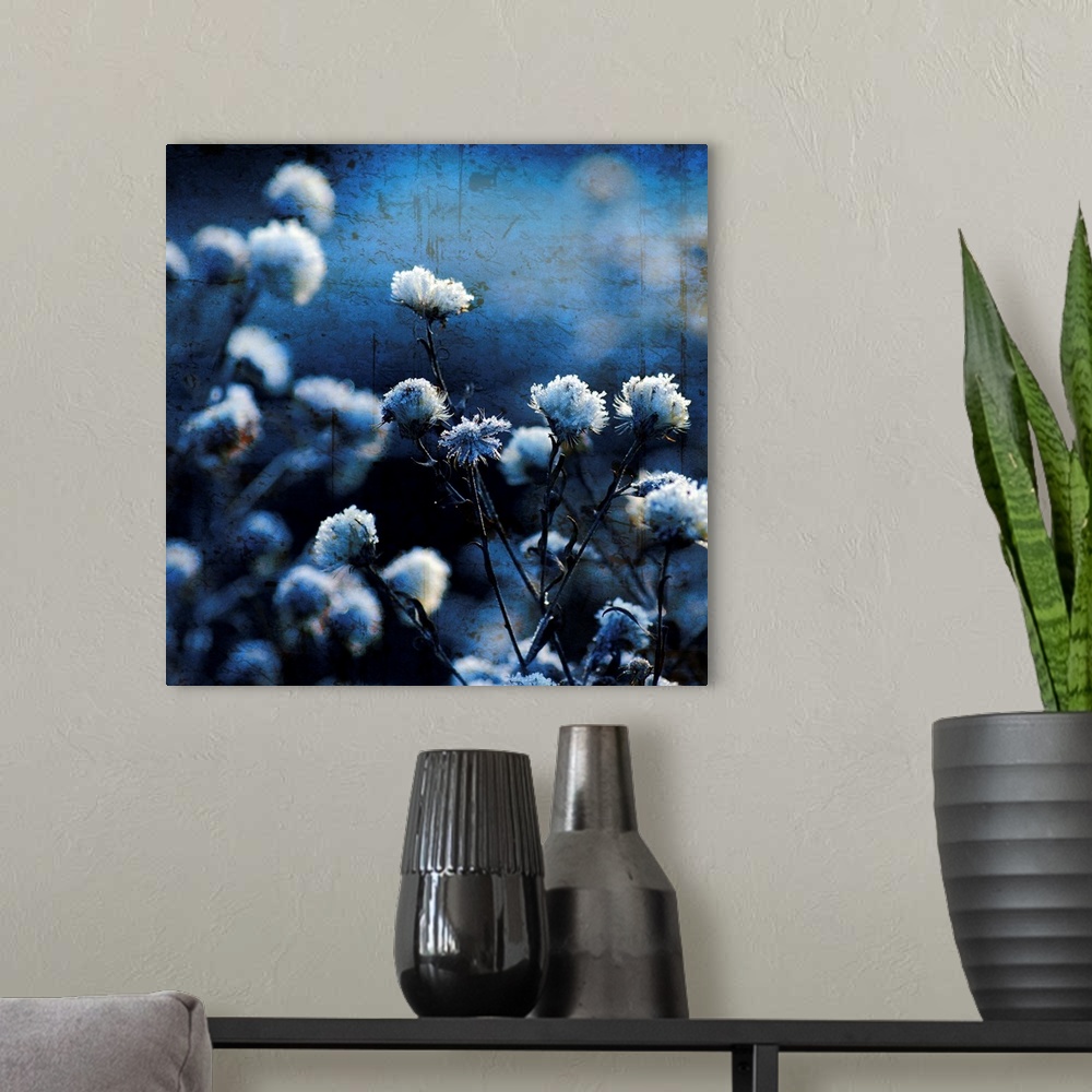 A modern room featuring A fine art photograph of flower blossoms that have been given a cool hued tint and a distress tex...