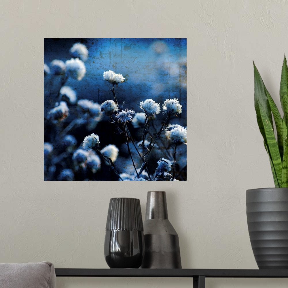 A modern room featuring A fine art photograph of flower blossoms that have been given a cool hued tint and a distress tex...