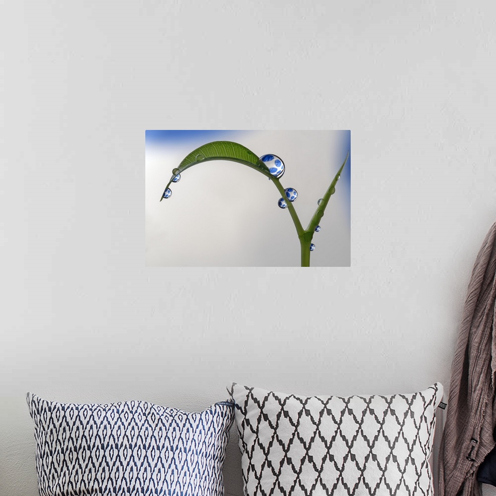 A bohemian room featuring A macro photograph of a water droplet sitting atop a small leaf on a stem.