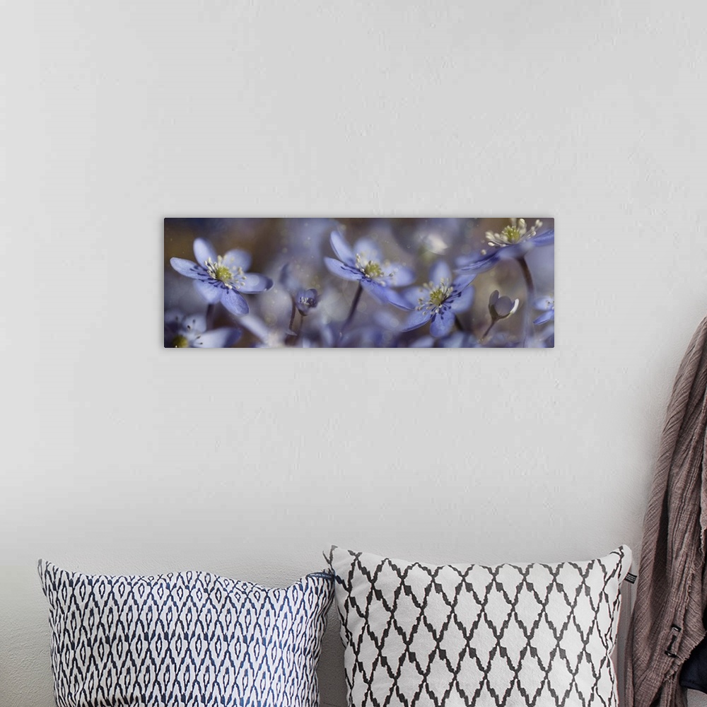 A bohemian room featuring A photograph of a purple garden flowers.
