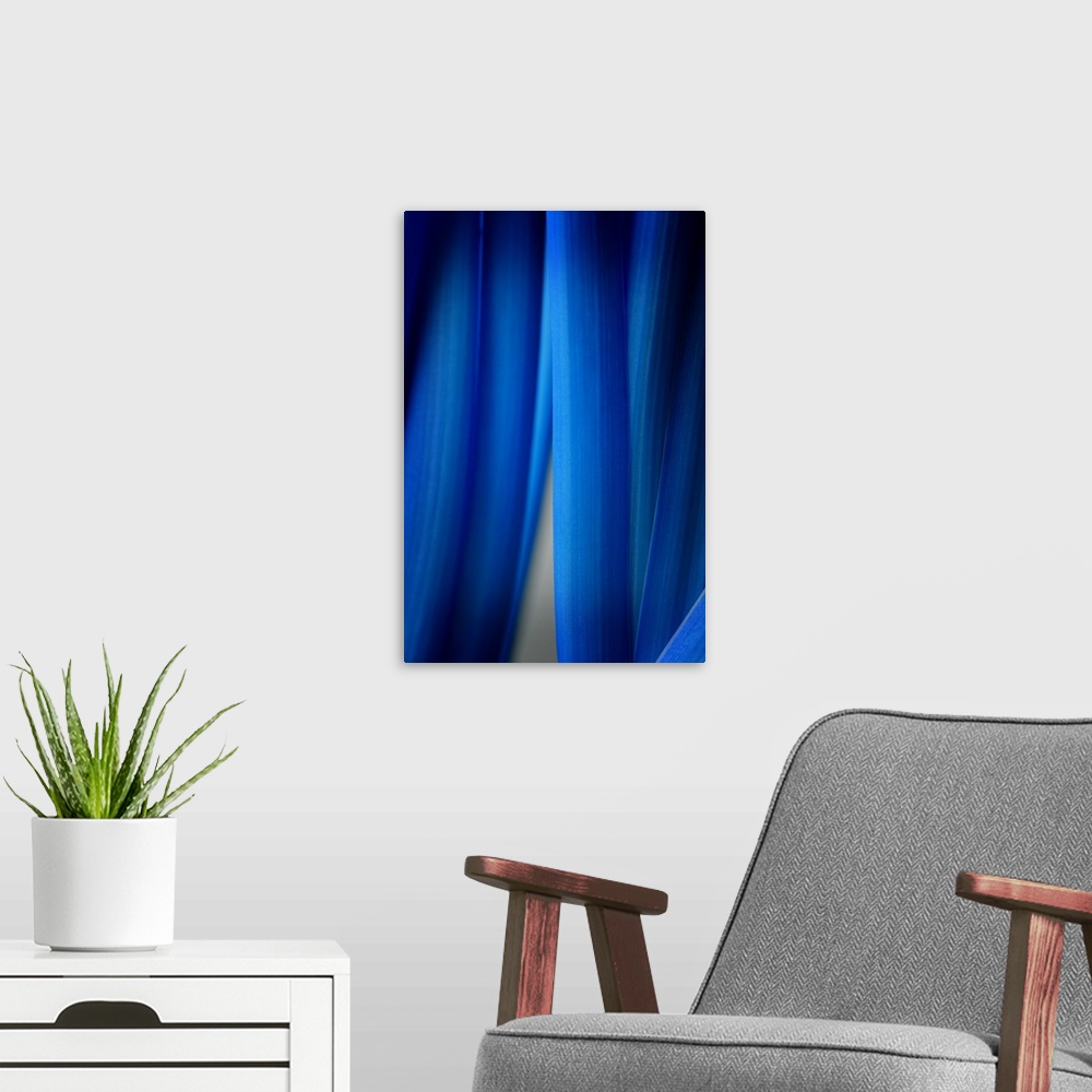 A modern room featuring Blue Leaf Curtains